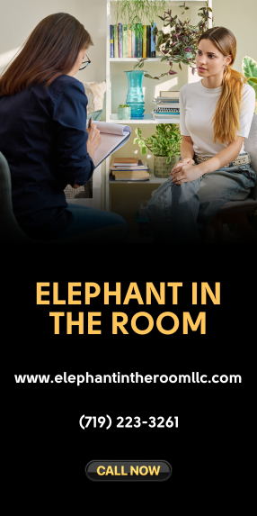 Elephant In The Room